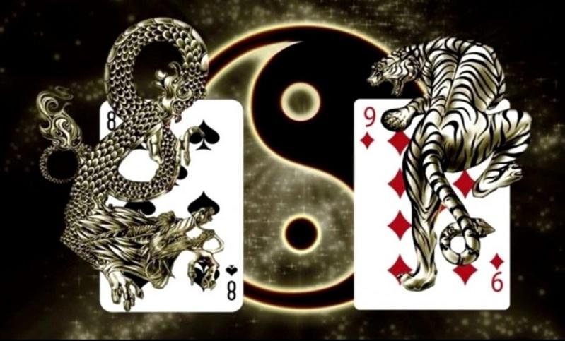 rong ho 2 Đôi nét về Rồng Hổ mà bạn nên biết